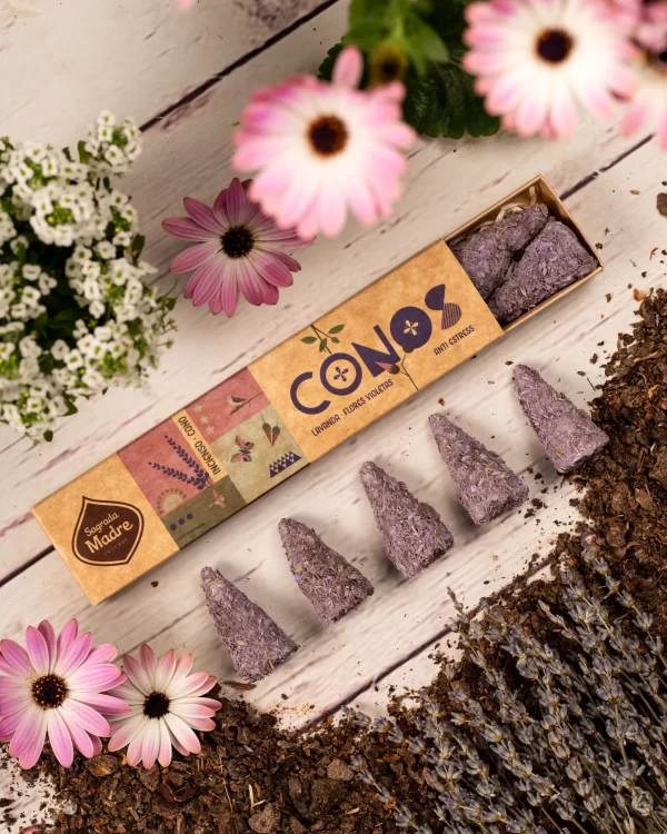 CONO LAVANDA Y FLORES VIOLETAS