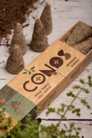 CONO CANELA VAINILLA